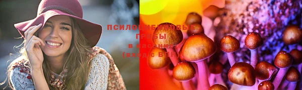 мет Армянск