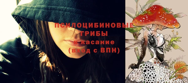 молекула духа Няндома
