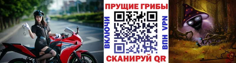 OMG как войти  как найти закладки  Сухиничи  Псилоцибиновые грибы Magic Shrooms 
